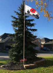 125181182_3400582746723946_1542686969167889132_n_3400582743390613