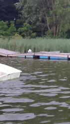 19237884_1351154598333448_4535115490264038170_o_1351154598333448